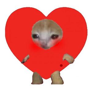 Gatitos