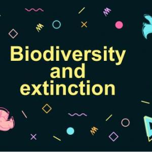 Biodiversity and extinction 8B