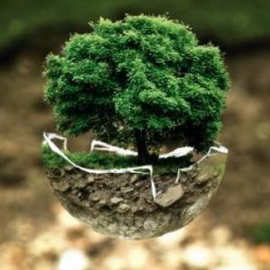 Cuidemos el ambiente