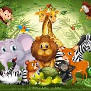 Animales vertebrados e invertebrados