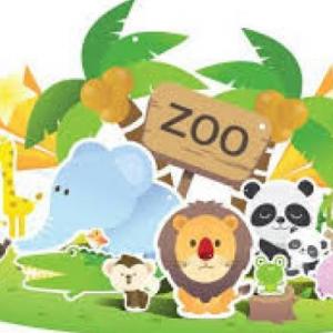What do the animals eat