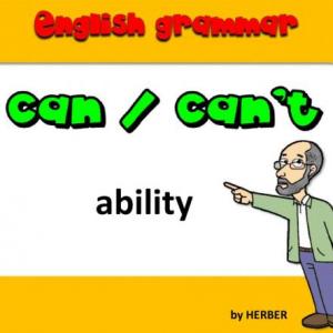 Can / Can't