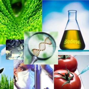 Ejercicio 2. Reconocimiento de Biomoléculas en multicontextos(Proteinas)
