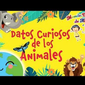 Datos curiosos de los animales