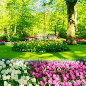 LLEGÓ LA PRIMAVERA