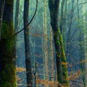 Conservación del medio ambiente