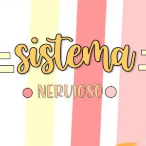 Sistema nervioso