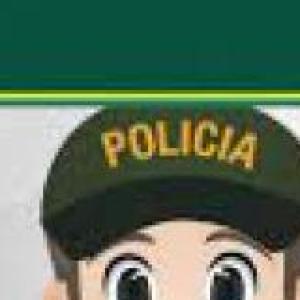 Medios de policía