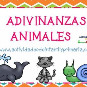 los animales 