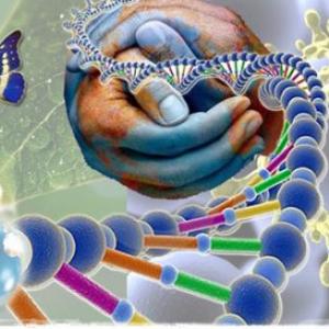 Imagen de portada del videojuego educativo: DESAFÍO 2 DE BIOLOGÍA 3° TT, de la temática Biología