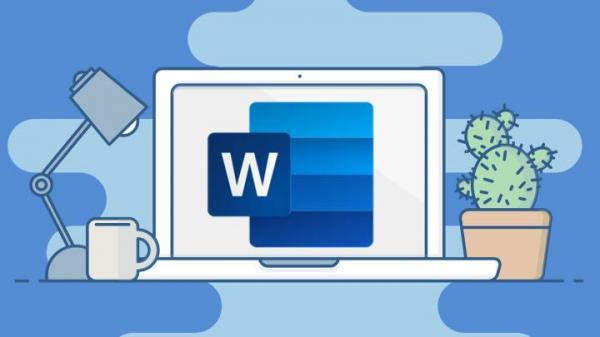 MS WORD