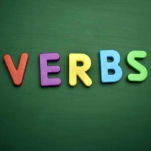 VERBS IN PAST SIMPLE TENSE