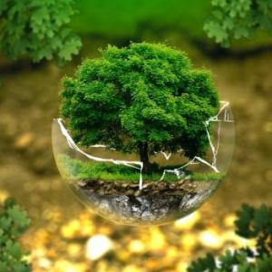 Educación ambiental