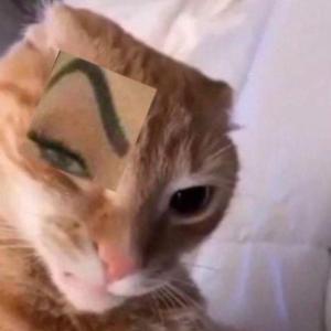 Lara, Laru, Larita, Topi