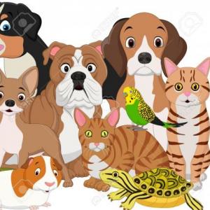 memorama de mascotas