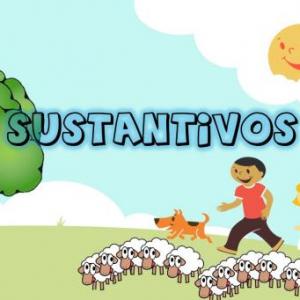 ¿Que sustantivo es?