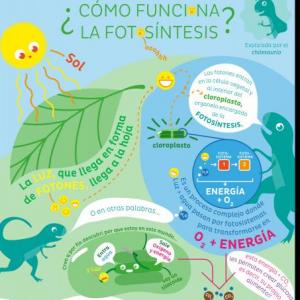 Fotounión