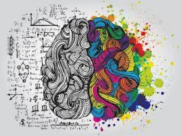 DESARROLLO DE LA IMAGINACION Y LA CREATIVIDAD.