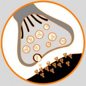 Imagen de portada del videojuego educativo: NEUROTRANSMISORES, de la temática Biología