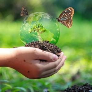 Preguntas Biodiversidad