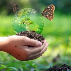 Preguntas Biodiversidad