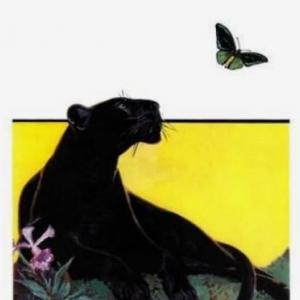 Animales