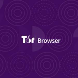 Imagen de portada del videojuego educativo: Tor Browser juego 2, de la temática Informática
