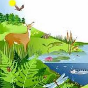 LOS ECOSISTEMAS