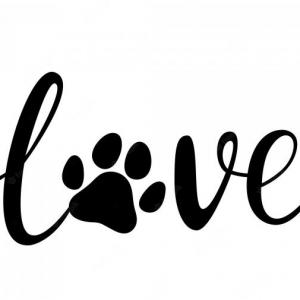 animales