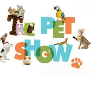 ANIMALS MEMORY GAME