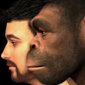 Imagen de portada del videojuego educativo: La evolución del hombre, de la temática Salud