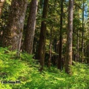 CONOZCAMOS NORTE AMERICA
