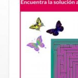 Historia  y organización de un País.