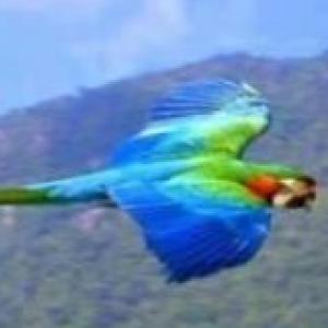 LA NATURALEZA