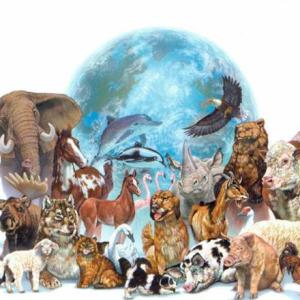 Reino animal