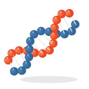 Portada del juego Retroalimentación Taller ADN 8° – Biología