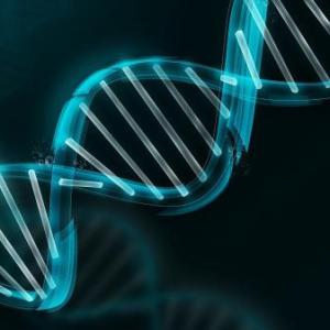 Del ADN a la Proteína: reto de comprensión