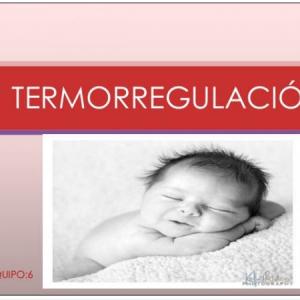 NECESIDAD DE TERMORREGULACIÓN