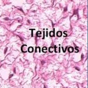 tejido conectivo