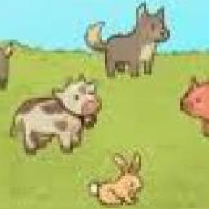 Tipos de alimentación