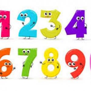 NUMEROS