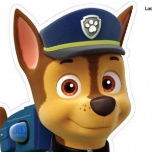 Paw patrol 