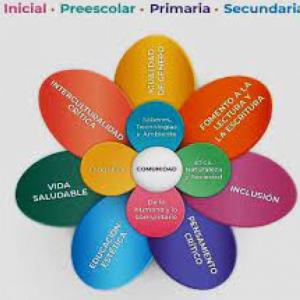 Programa Analítico