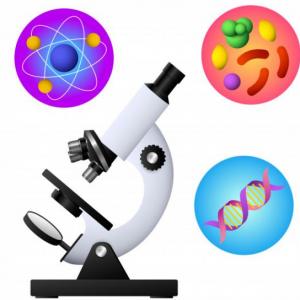 El microscopio