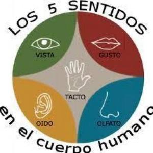 MEMOTEST DE ACCIONES