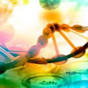 Virus y bacterias