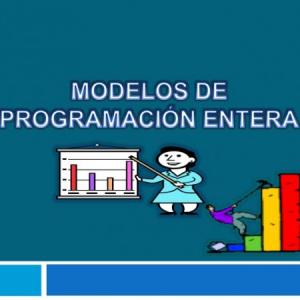 Método gráfico de programación entera.