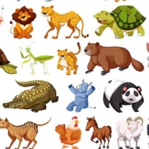 Animales 