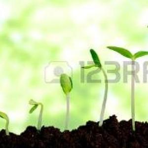 Reconozco el ciclo de vida de las plantas