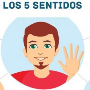 Los Sentidos 